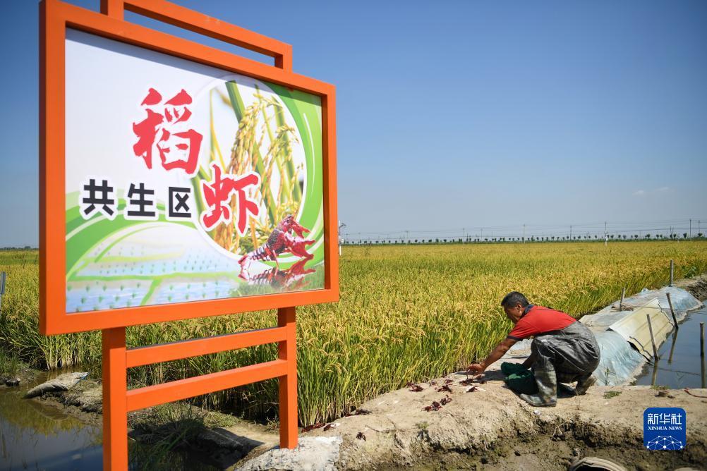 ag亚游会
